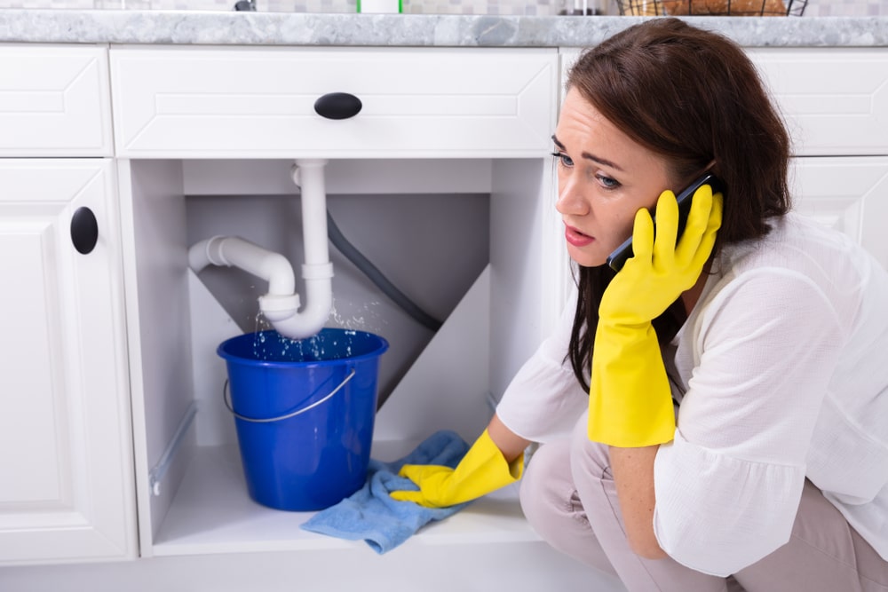 How to prevent problems with the plumbing system