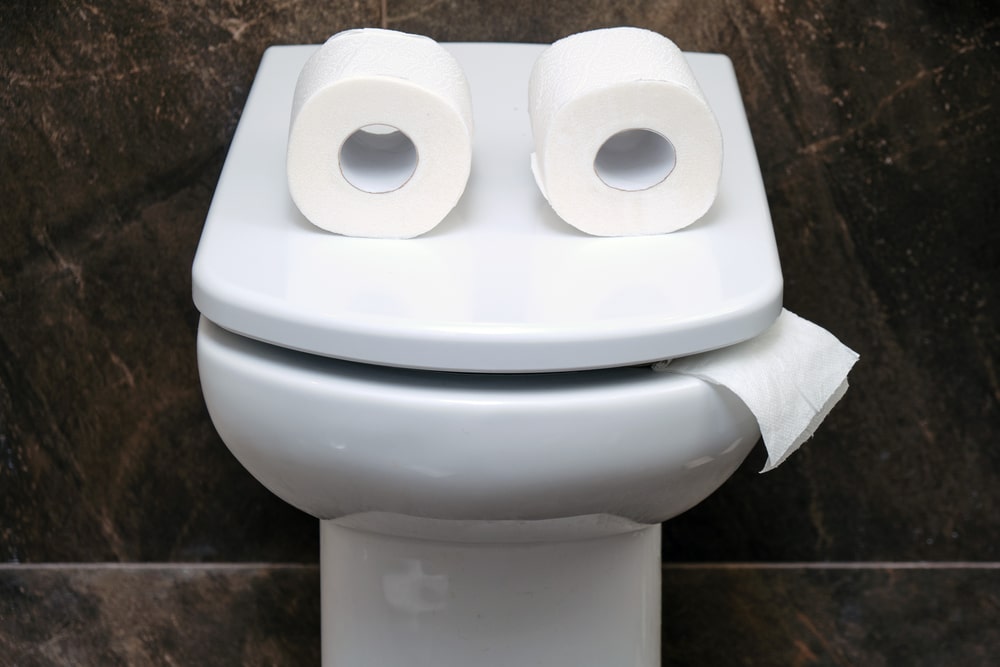 Running Toilet Fix