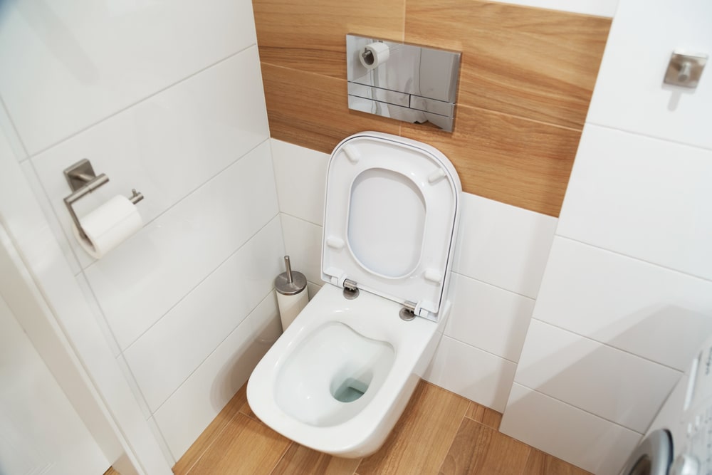 Toilet siphon