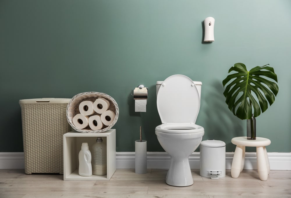Gold in Toilet