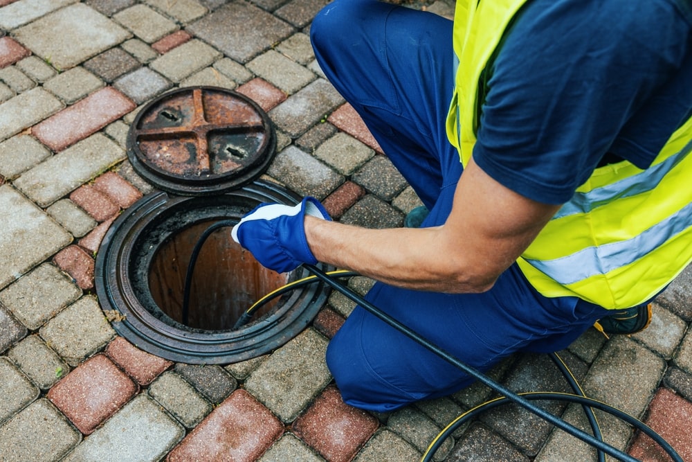 Dealing with Tree Root Intrusions in Richmond Hill Sewer Lines